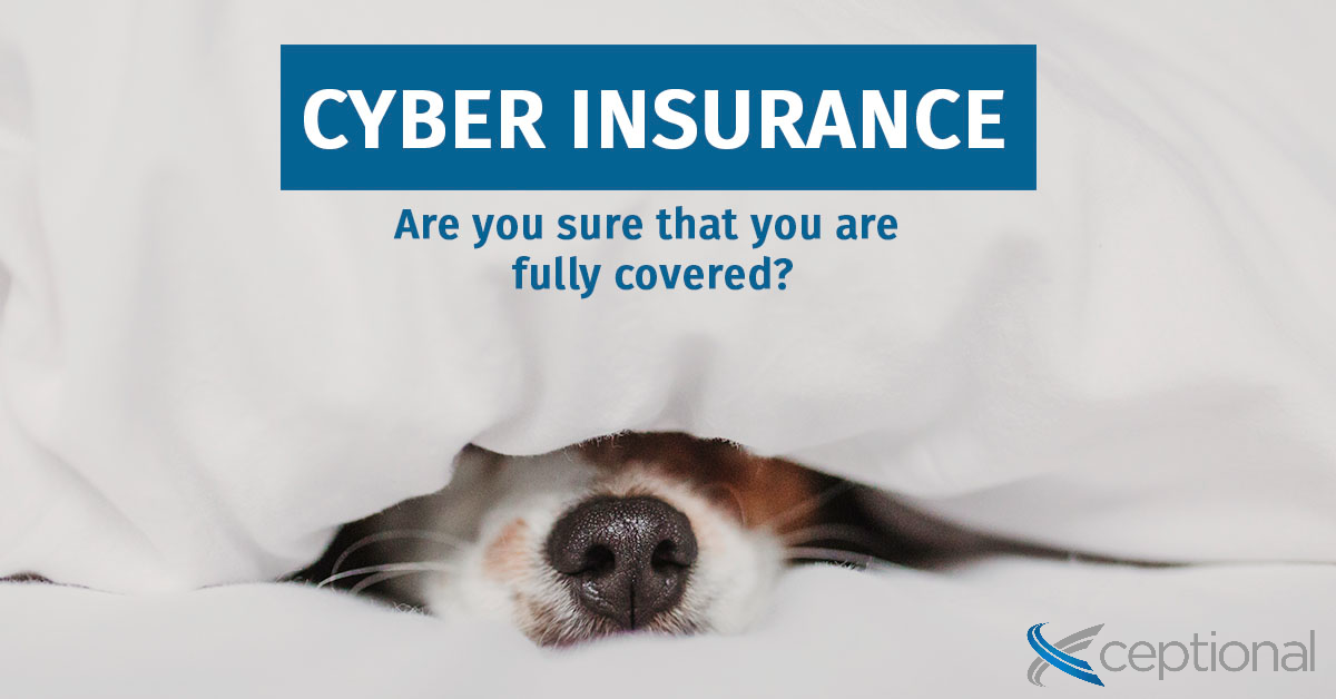cyber insurance: are you sure that you are fully covered?